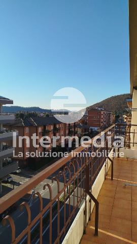 insertion image