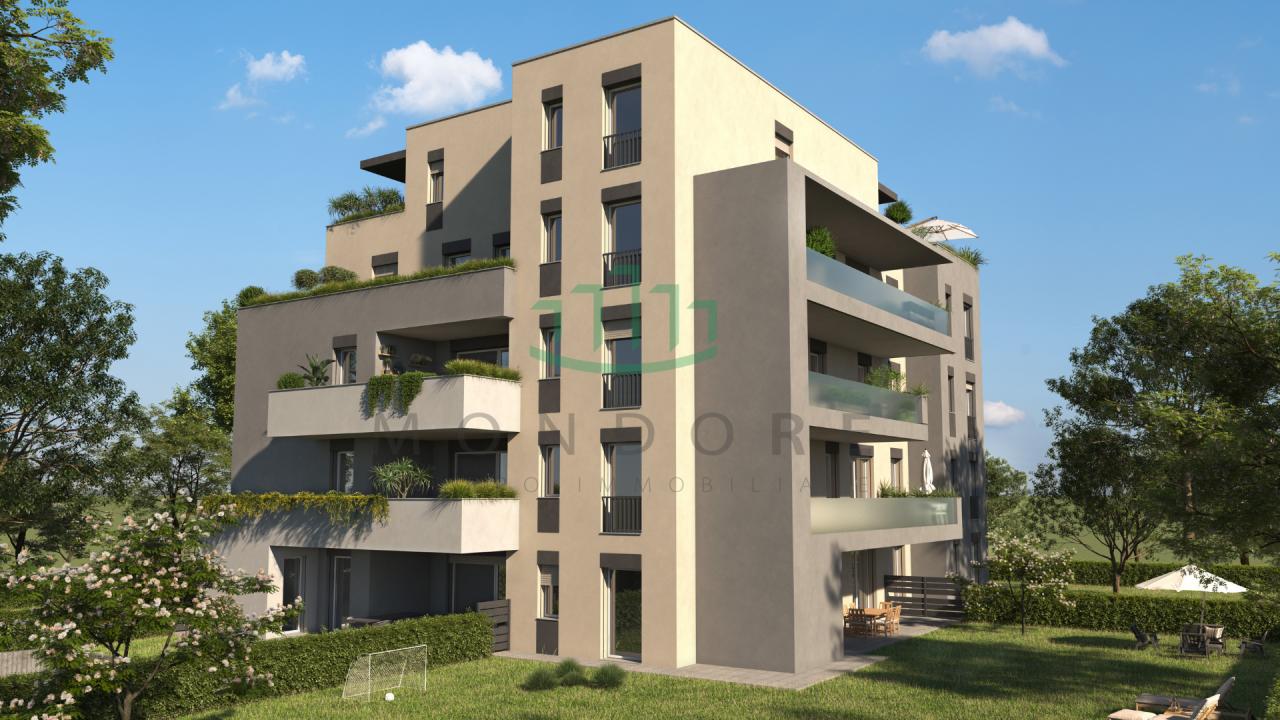 immagine annuncio 1 di 6