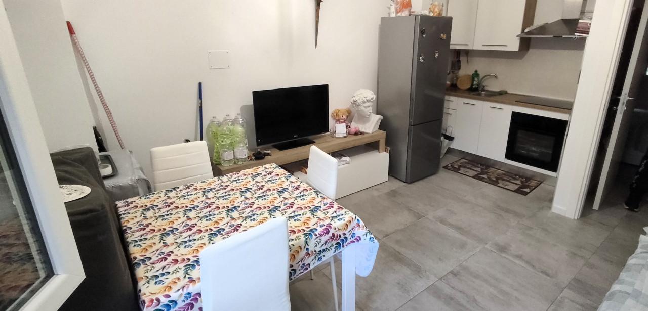 immagine annuncio 2 di 8