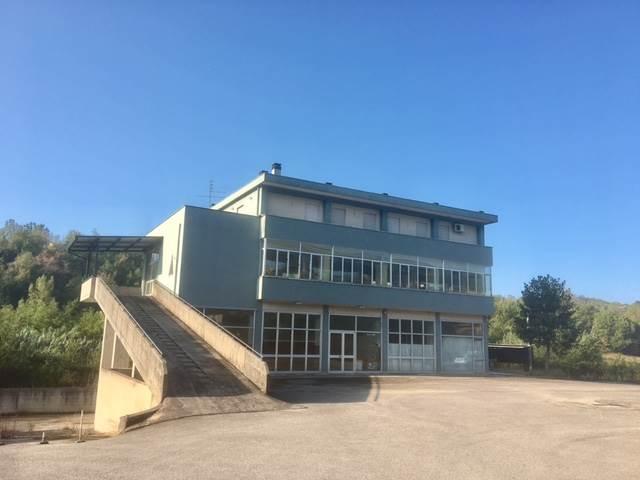 Magazzino in Contrada Pescara, Veroli, {3} - Foto 1