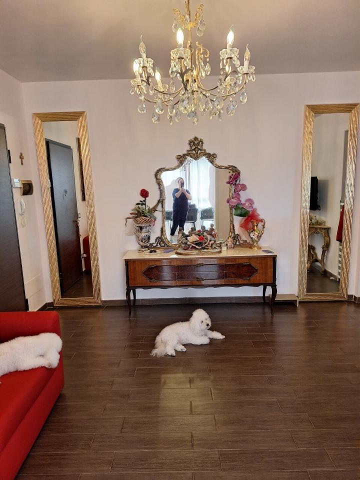 immagine annuncio 1 di 9