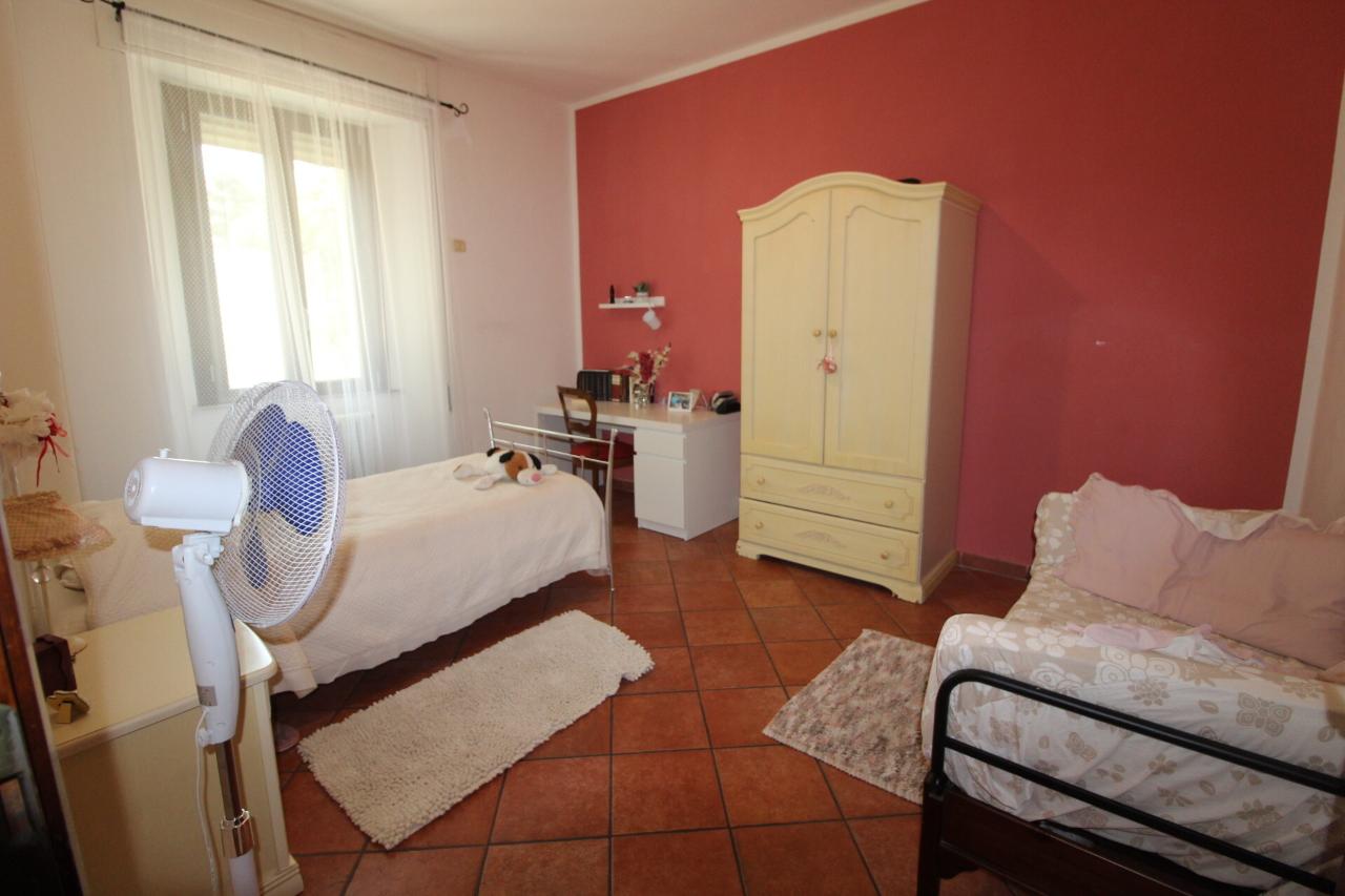 immagine annuncio 2 di 14