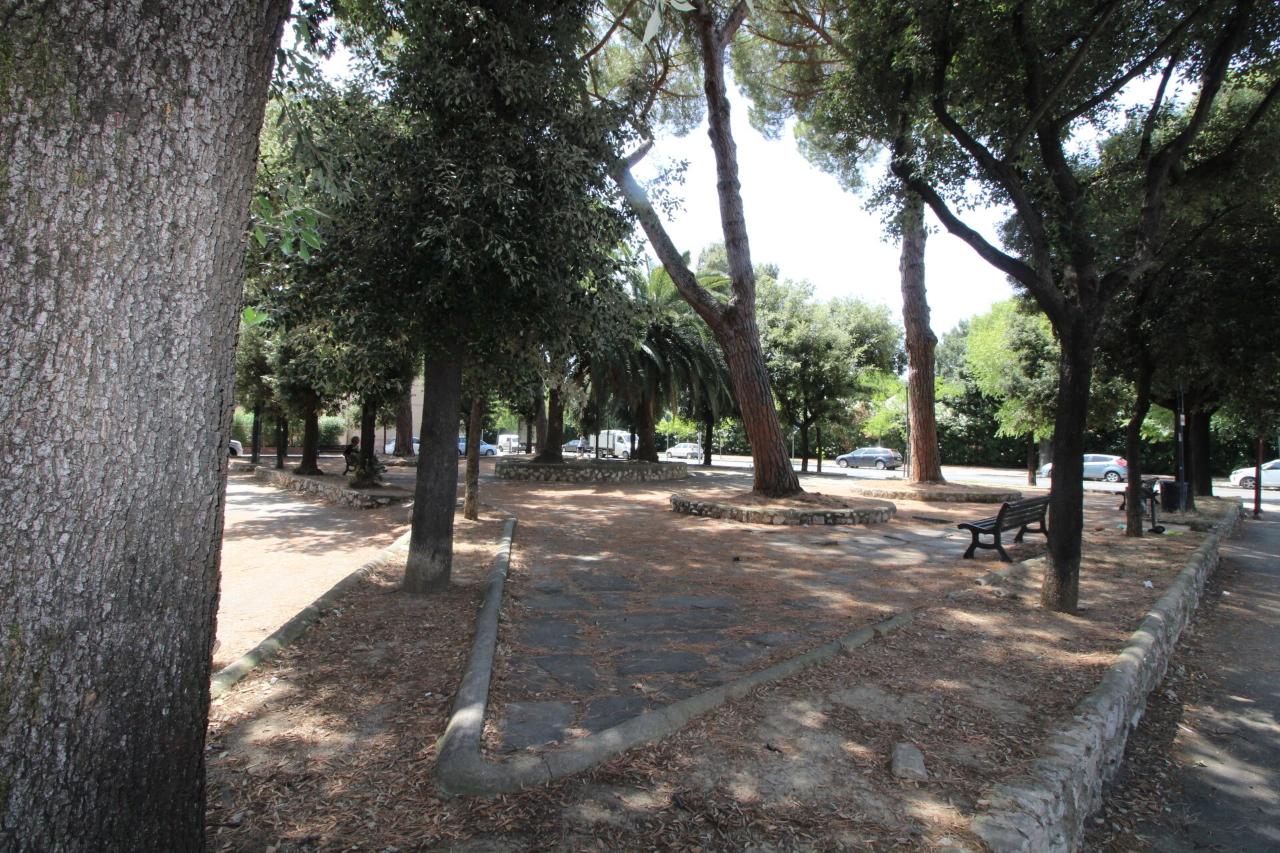 immagine annuncio 7 di 14