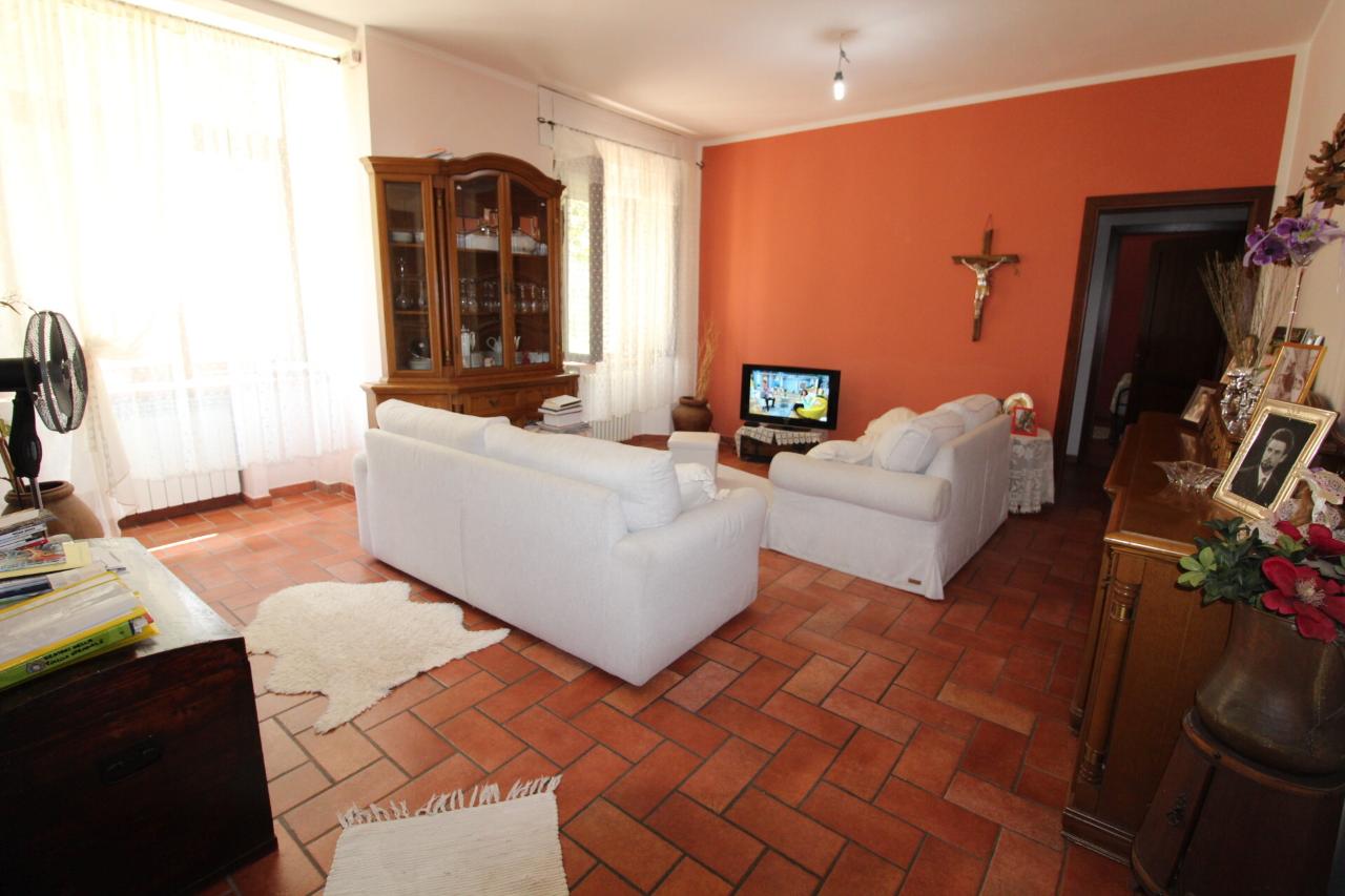 immagine annuncio 10 di 14