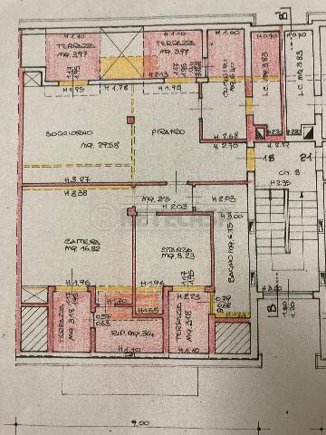 main planimetry real estate image