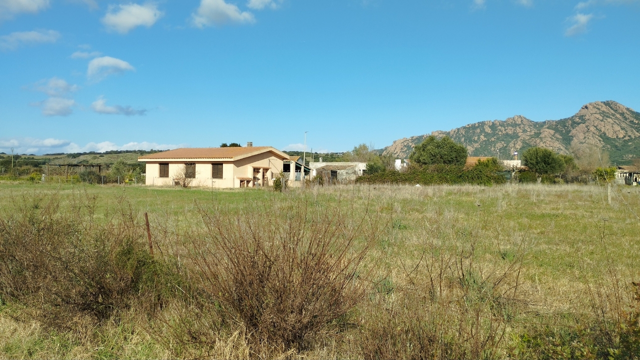 immagine annuncio 4 di 6