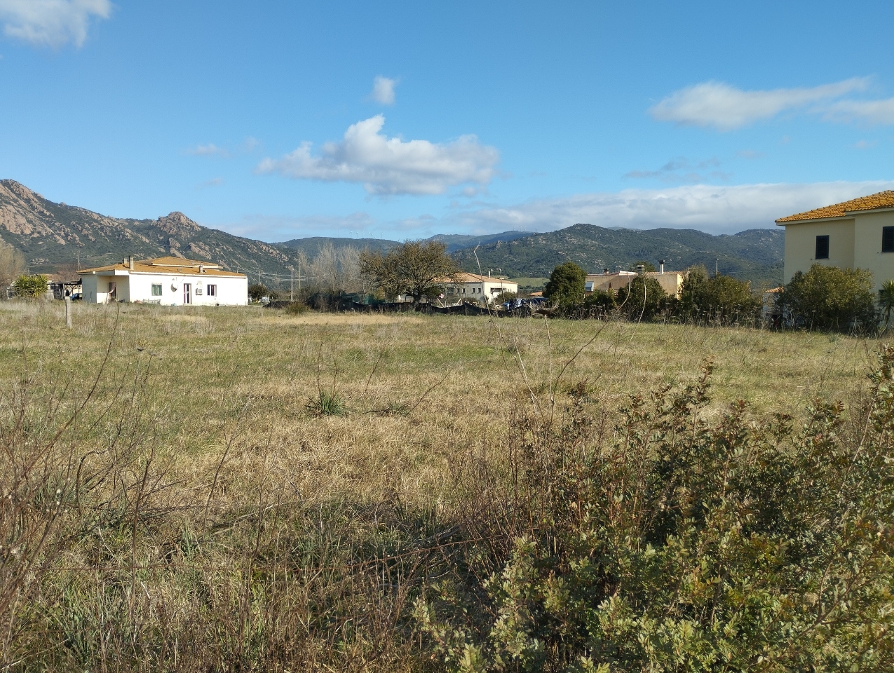 immagine annuncio 3 di 6