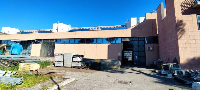 Warehouse in Viale Luigi Schiavonetti, Roma - Photo 1