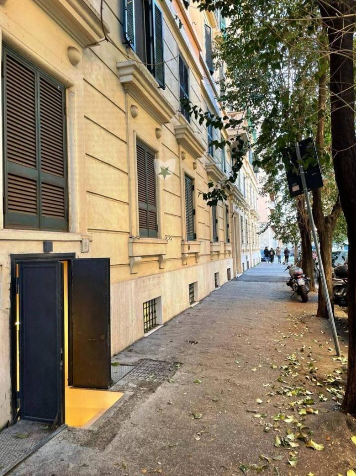 immagine annuncio 10 di 14