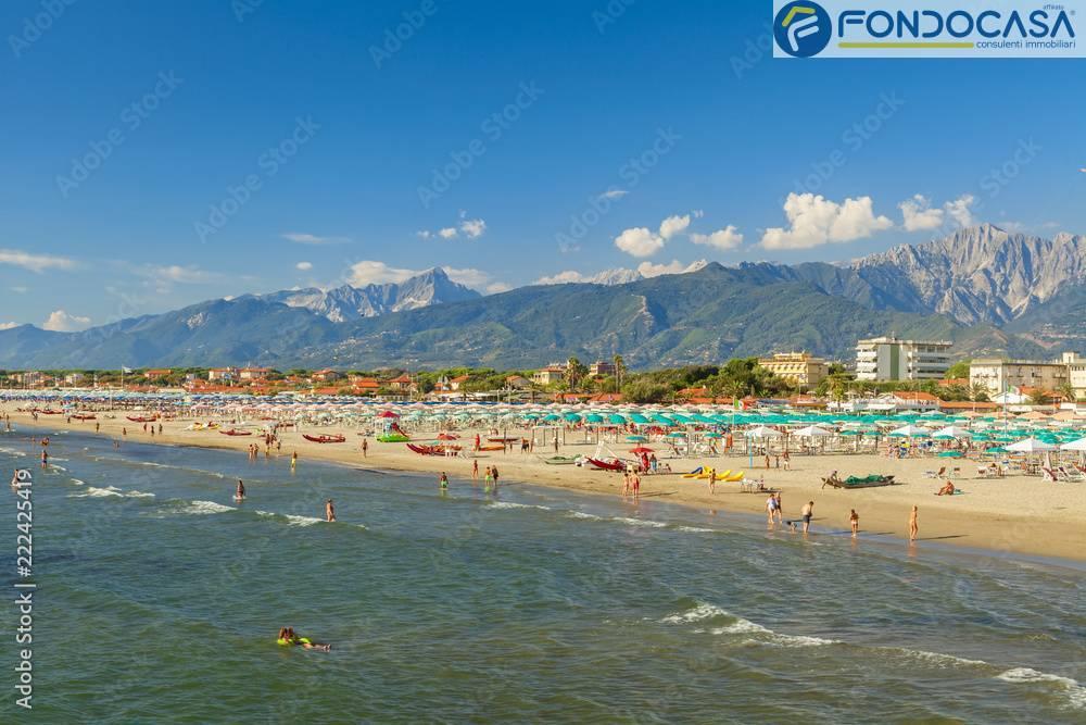 immagine annuncio 5 di 14