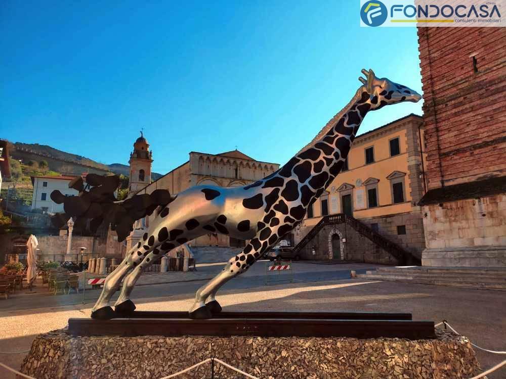 immagine annuncio 13 di 14