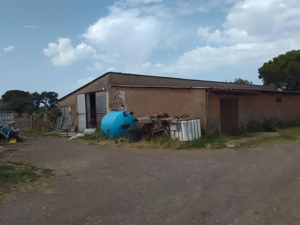 Azienda agricola in , Vetralla, {3} - Foto 1