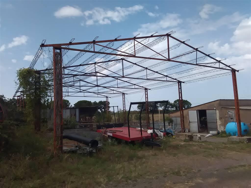 Azienda agricola in , Vetralla, {3} - Foto 2