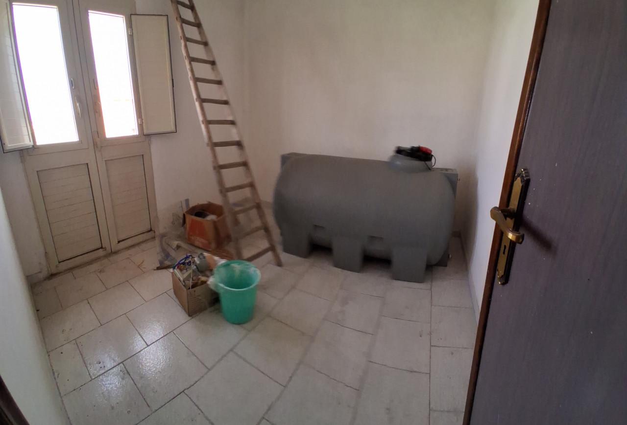 immagine annuncio 10 di 14