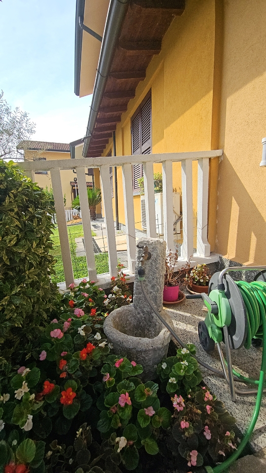 immagine annuncio 5 di 15
