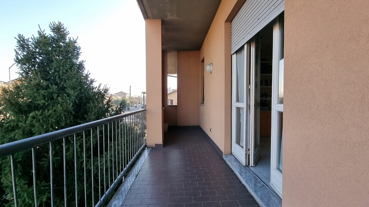 immagine annuncio 11 di 15
