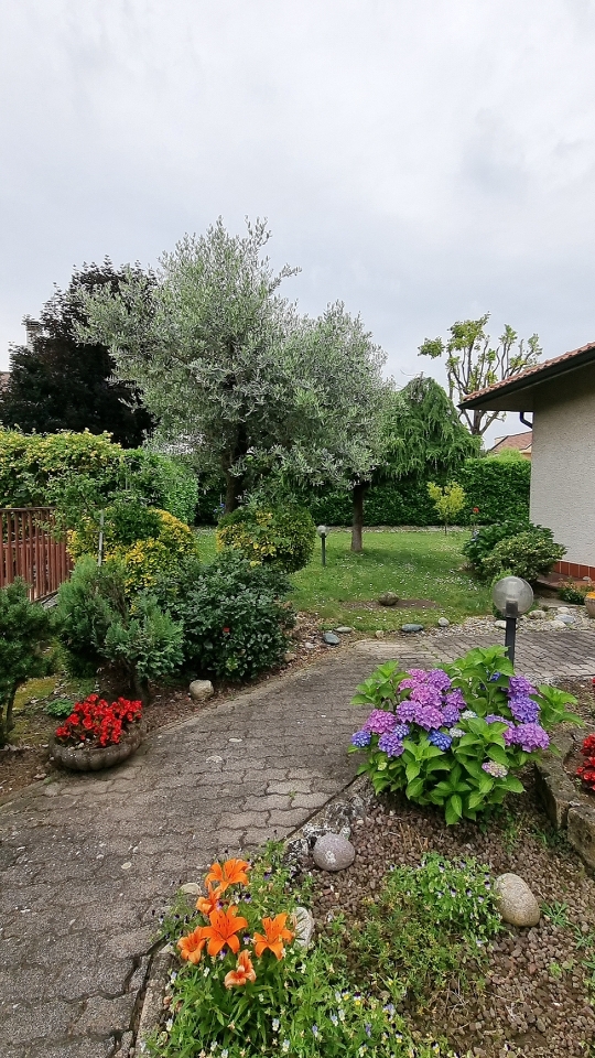 immagine annuncio 7 di 15