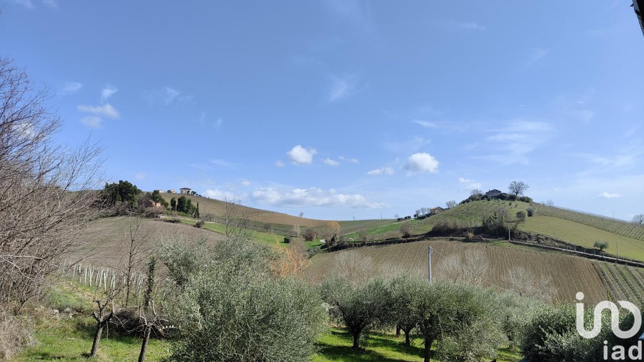 immagine annuncio 3 di 13