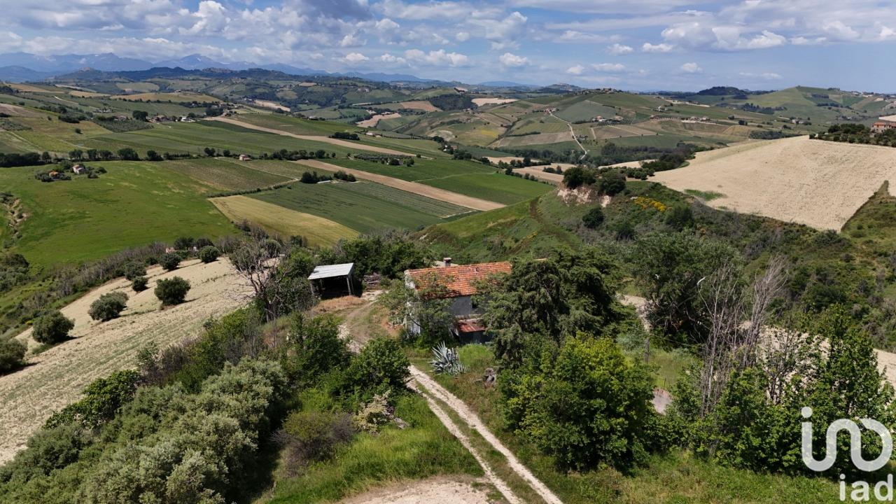 immagine annuncio 7 di 12