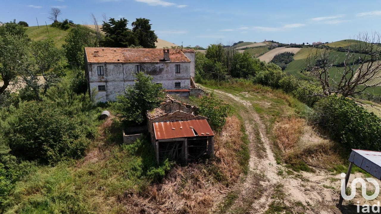 immagine annuncio 2 di 12