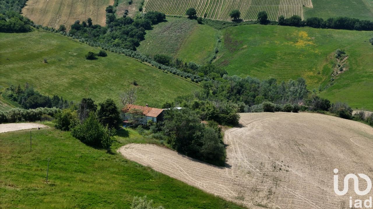 immagine annuncio 8 di 12