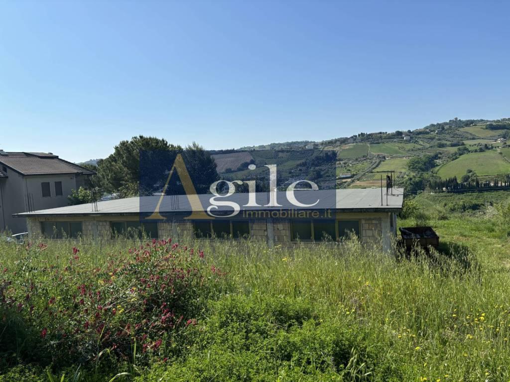 immagine annuncio 4 di 9