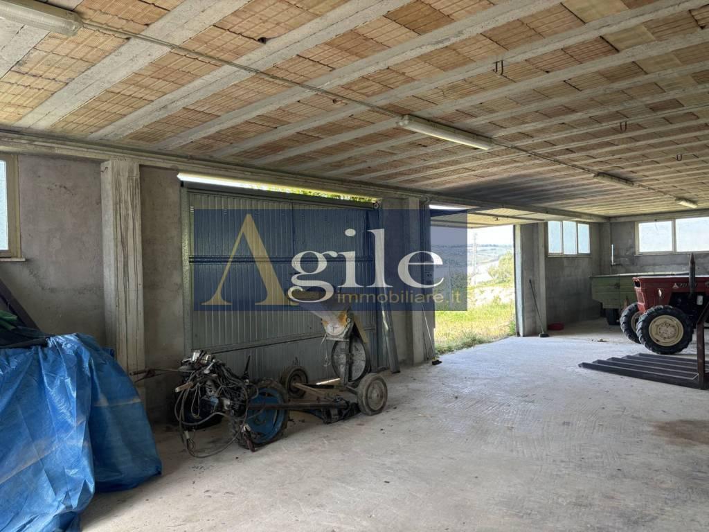 immagine annuncio 5 di 9