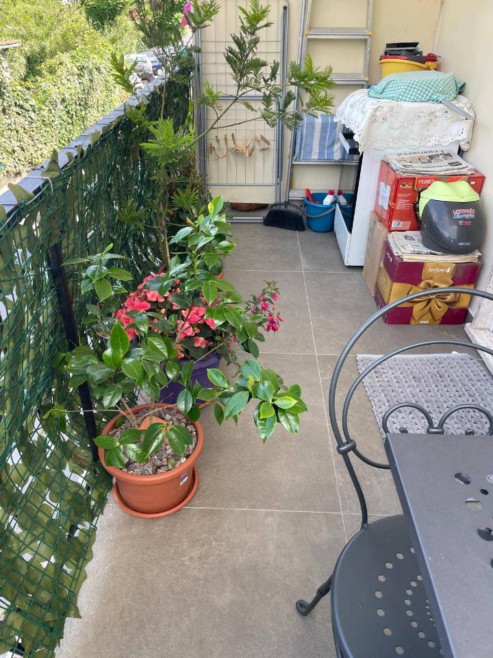 immagine annuncio 13 di 15