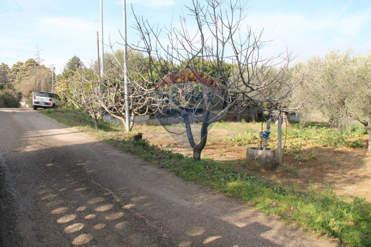 immagine annuncio 3 di 11