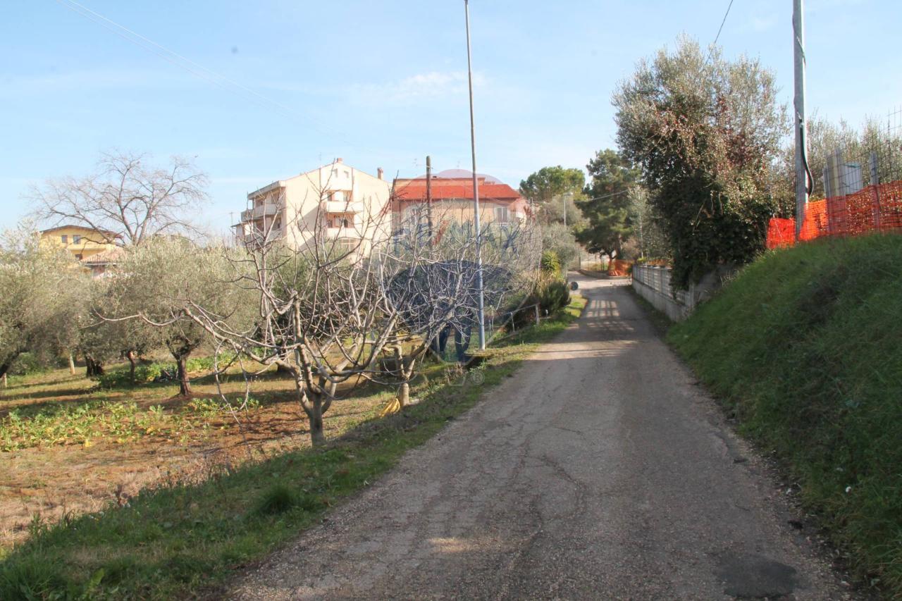 immagine annuncio 9 di 11