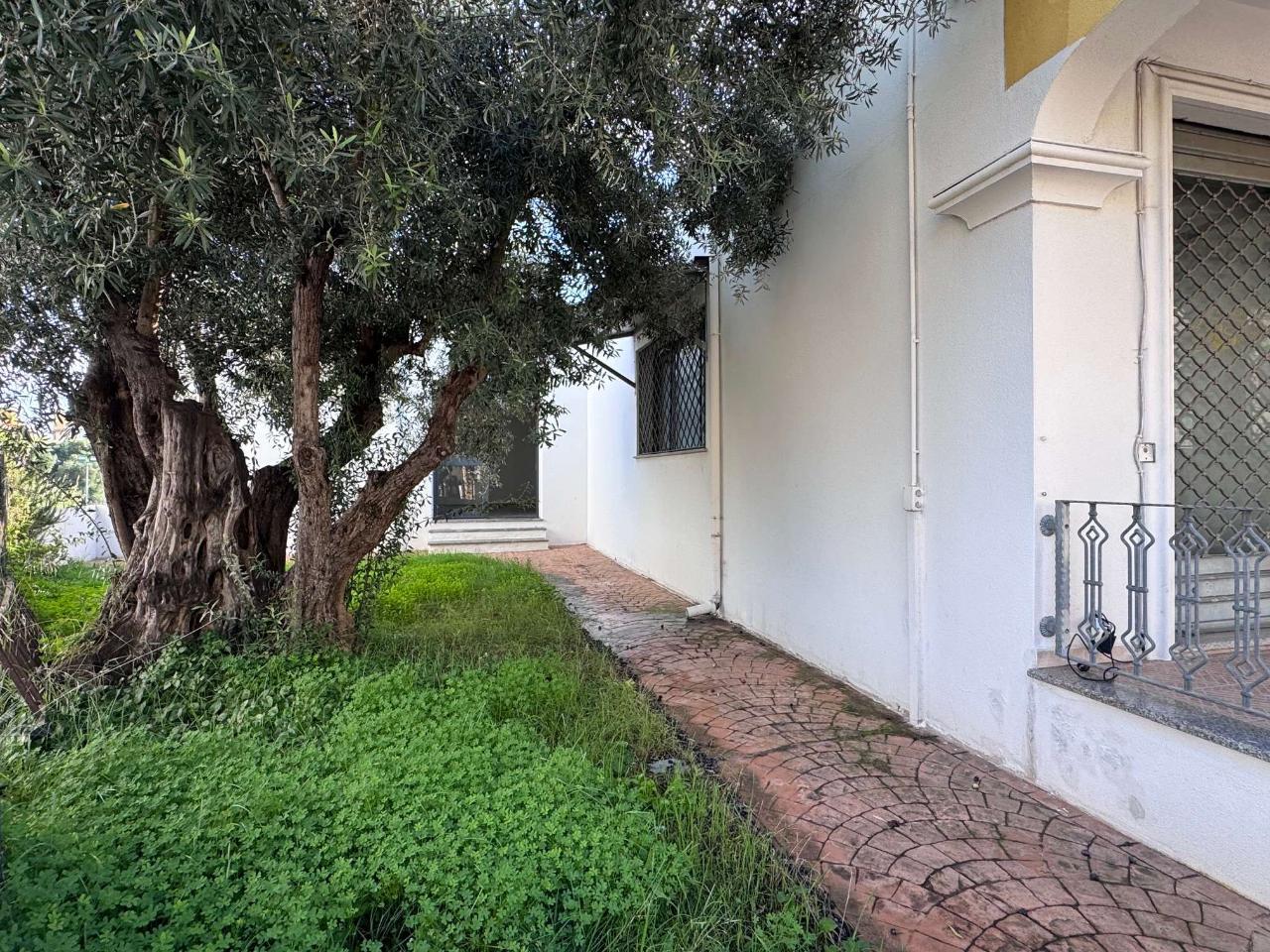 Negozio in , Siniscola, {3} - Foto 2
