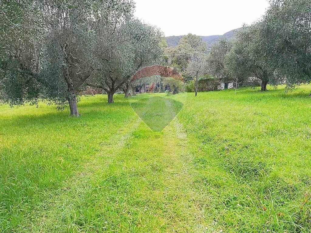 immagine annuncio 5 di 7