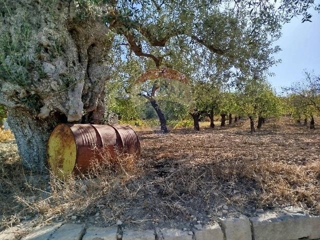 Terreno agricolo in Contrada Casale, Noto - Foto 1