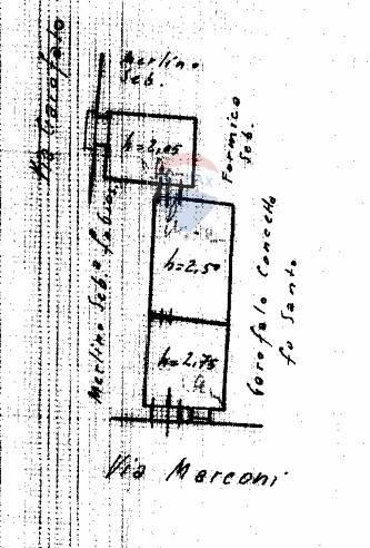 immagine annuncio 12 di 14