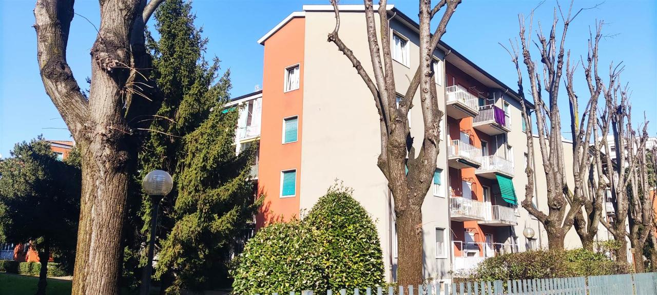 immagine annuncio 9 di 15