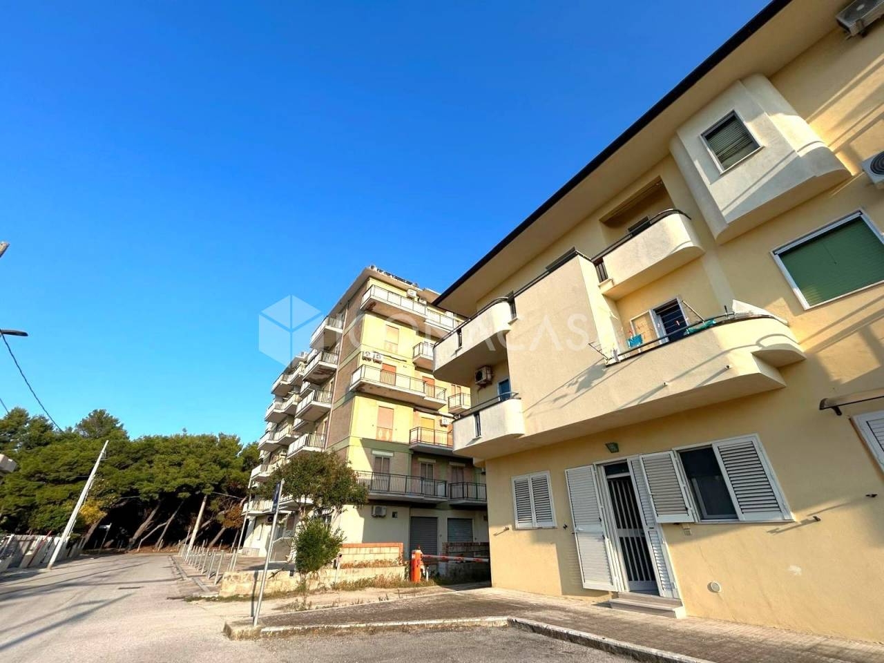 immagine annuncio 1 di 14