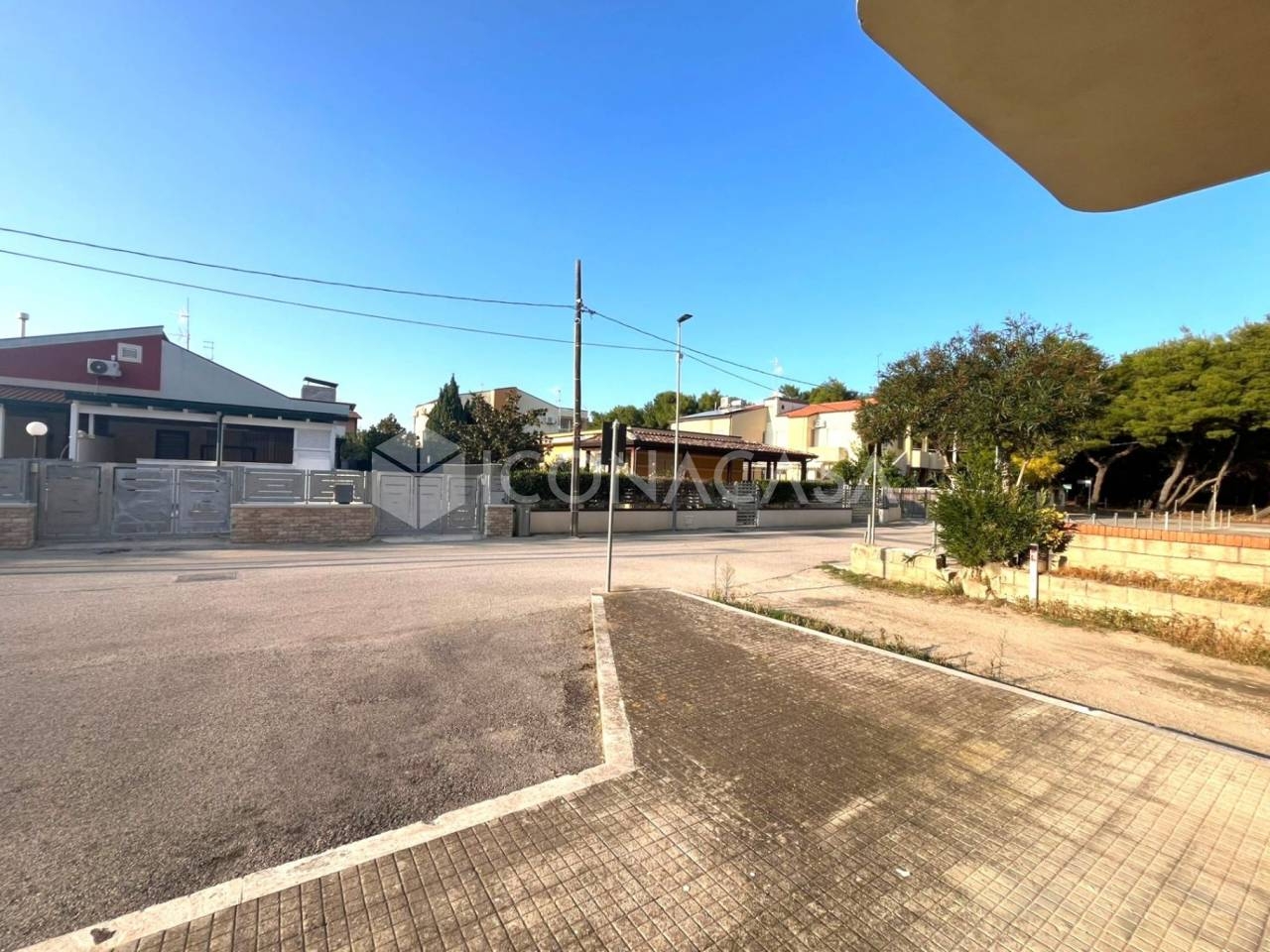 immagine annuncio 12 di 14