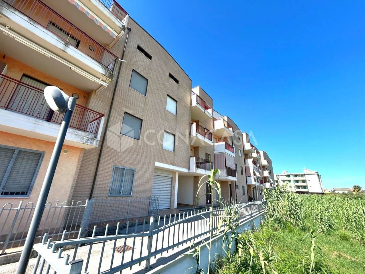 immagine annuncio 12 di 14