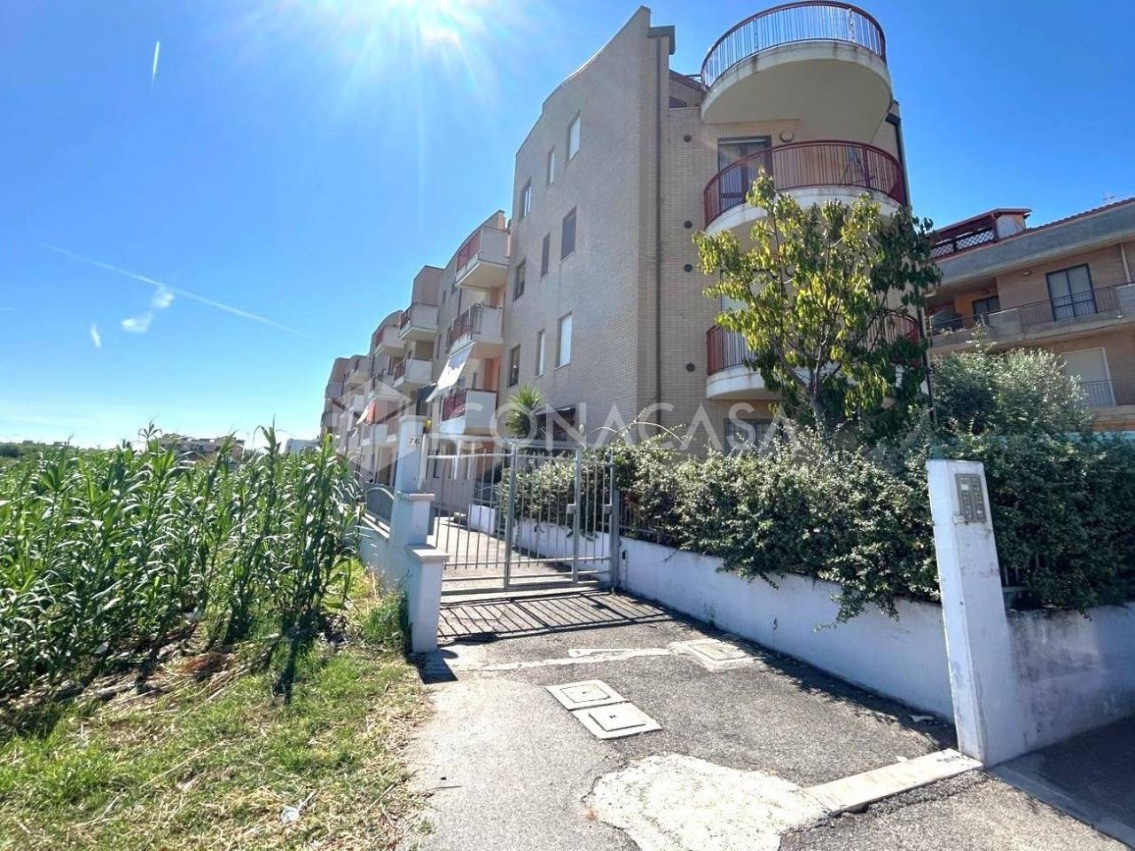 immagine annuncio 13 di 14