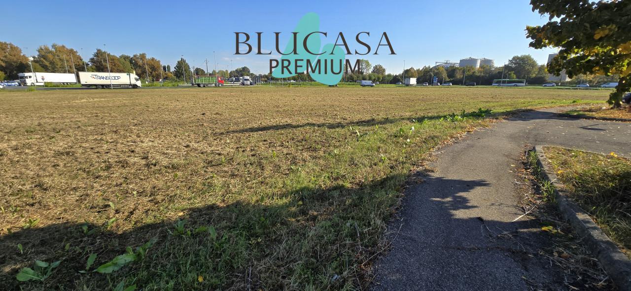 immagine annuncio 3 di 12