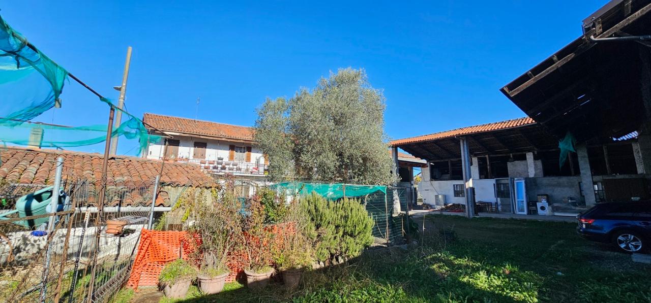 immagine annuncio 3 di 4