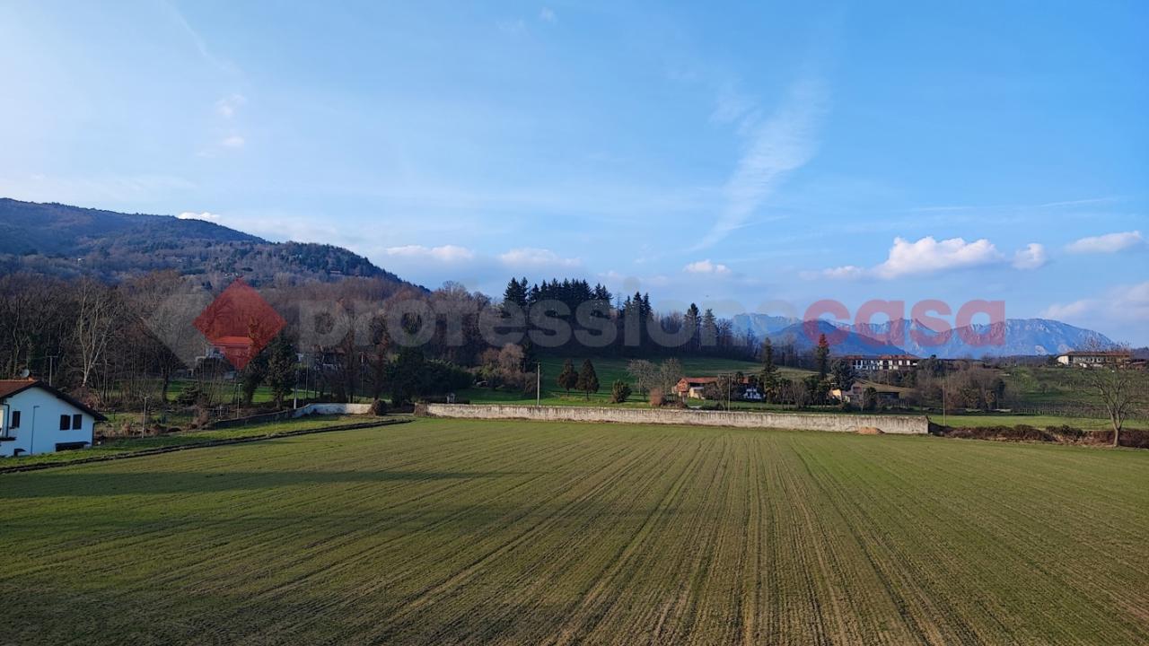 immagine annuncio 6 di 8