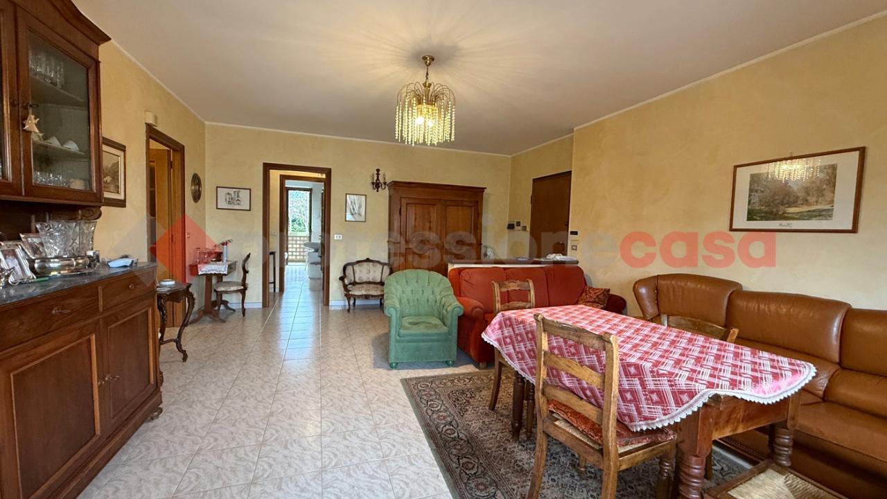 immagine annuncio 2 di 11