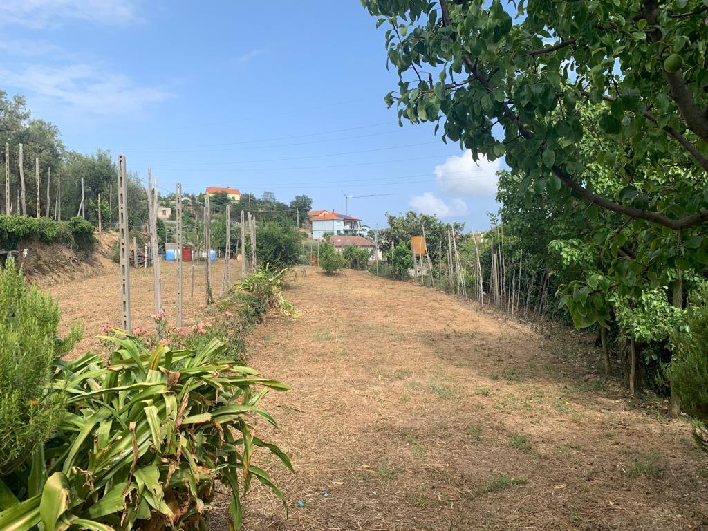 Terreno edificabile in vendita a Vado Ligure