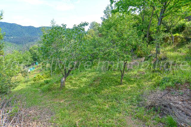 Terreno agricolo in Via Emilio Parodi 33, Quiliano - Foto 1