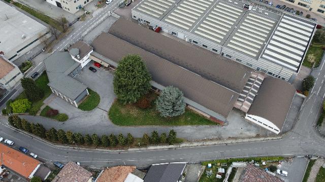 insertion image