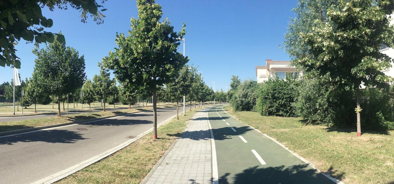 immagine annuncio 9 di 12