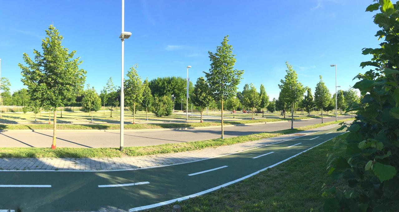 immagine annuncio 8 di 12