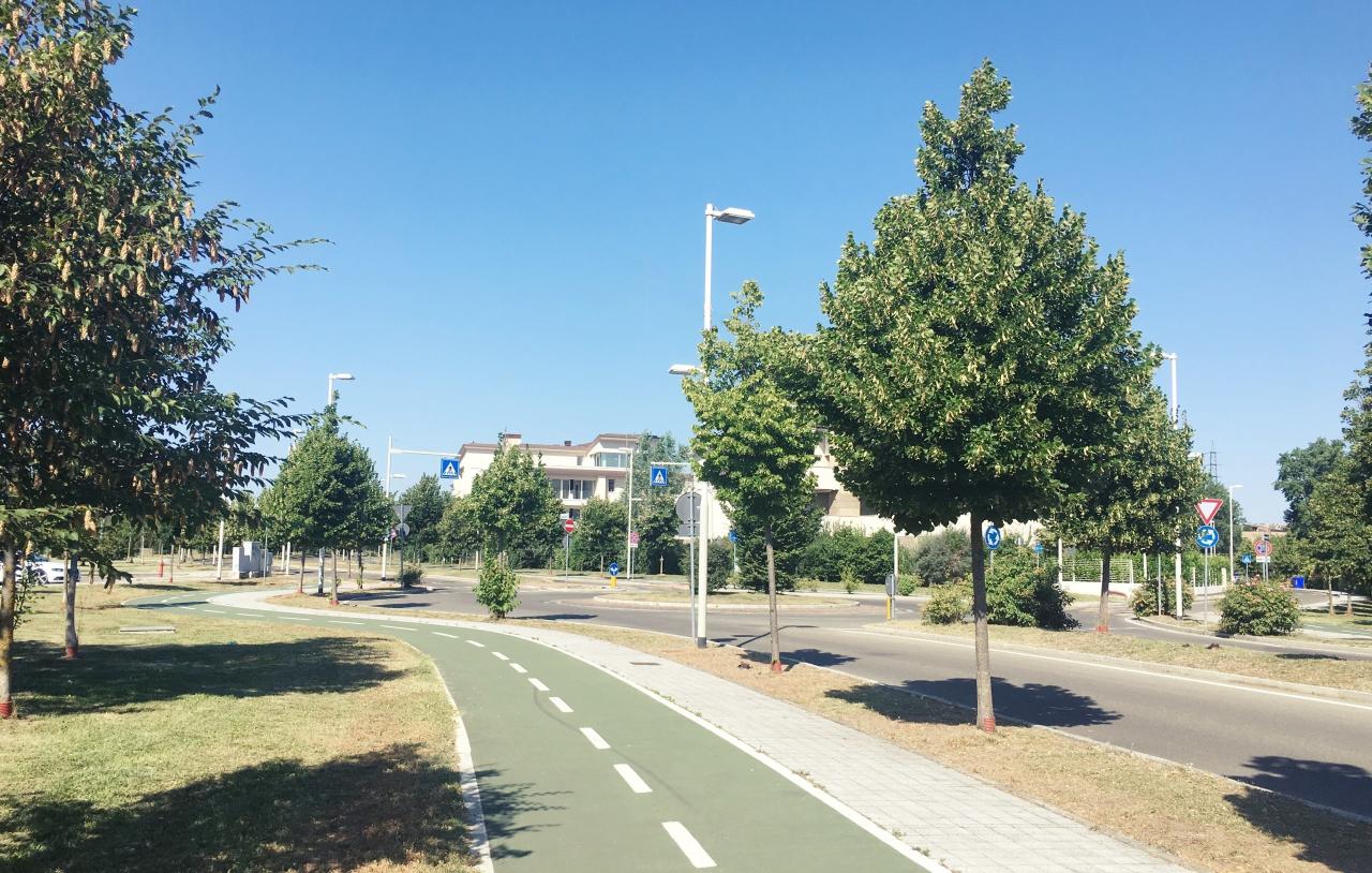 immagine annuncio 10 di 12