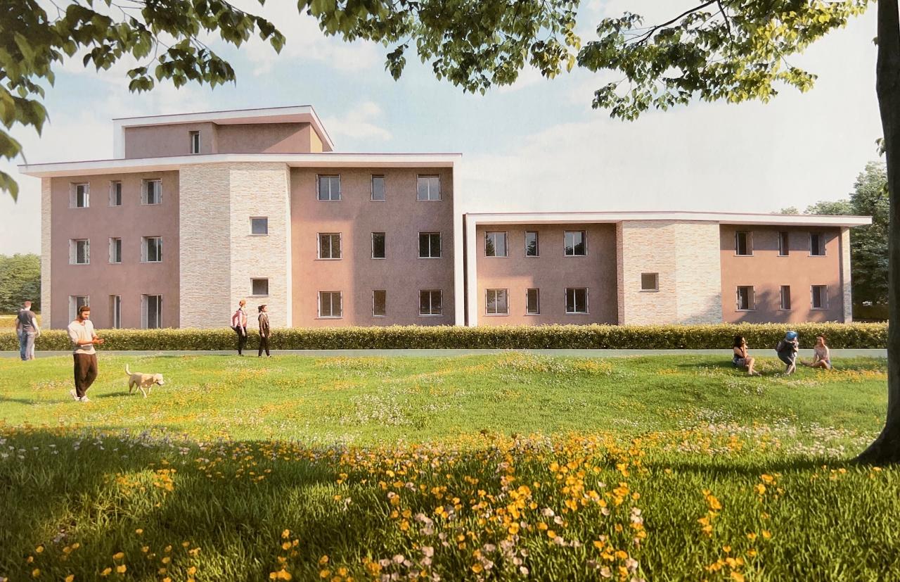 immagine annuncio 2 di 6